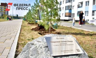 Алексей Орлов - В Академическом районе Екатеринбурга Сбербанк высадил кедровую аллею - fedpress.ru - Екатеринбург - район Академический, Екатеринбург - Экология
