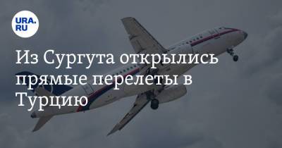 Из Сургута открылись прямые перелеты в Турцию - ura.news - Египет - Турция - Киргизия - Таджикистан - Сургут