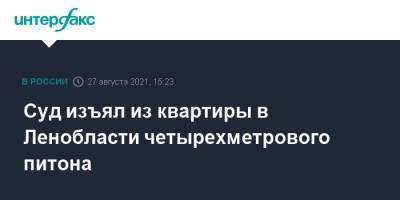 Суд изъял из квартиры в Ленобласти четырехметрового питона - interfax.ru - Москва - Ленинградская обл. - Индонезия