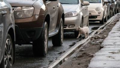 Комтранс в картинках объяснил порядок оплаты штрафов за парковку - dp.ru - Санкт-Петербург