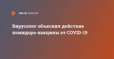 Вирусолог объяснил действие помидора-вакцины от COVID-19 - ren.tv - Узбекистан