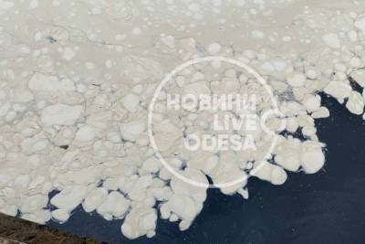 Белые пятна и вонь: После ливня в Одессе море покрылось странной пеной - vchaspik.ua - Украина - Одесса - Бердянск