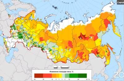 В европейской России лесом зарастают с/х земли, в Сибири выгорает тайга – мониторинг - nakanune.ru - Россия