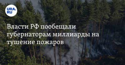 Викторий Абрамченко - Власти РФ пообещали губернаторам миллиарды на тушение пожаров - ura.news - Россия - респ. Саха - Омск