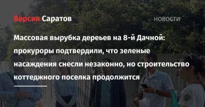 Валерий Радаев - Массовая вырубка дереьев на 8-й Дачной: прокуроры подтвердили, что зеленые насаждения снесли незаконно, но строительство коттеджного поселка продолжится - nversia.ru