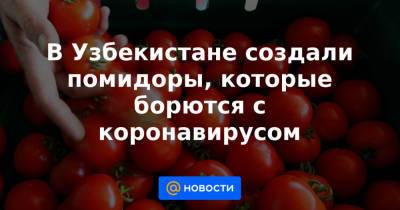 В Узбекистане создали помидоры, которые борются с коронавирусом - news.mail.ru - Узбекистан - Вена