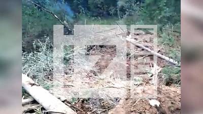 Опубликовано видео с места крушения Су-24 под Пермью - iz.ru - Израиль - Пермь - Пермский край