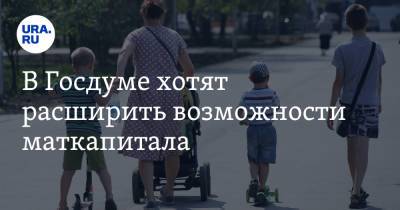 Светлана Бессараб - В Госдуме хотят расширить возможности маткапитала - ura.news - Россия