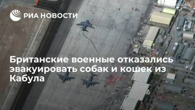 Бен Уоллес - Джо Байден - Британские военные отказались эвакуировать двести собак и кошек из Кабула - ria.ru - США - Англия - Лондон - Афганистан - Кабул - Великобритания