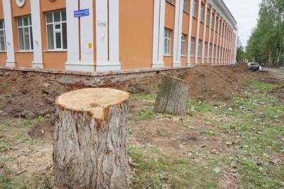 В Сыктывкаре у школы им. Олега Кошевого высадят новые деревья взамен срубленных - komiinform.ru - Сыктывкар