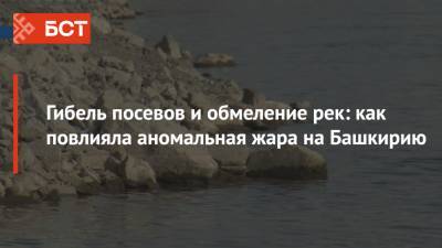 Гибель посевов и обмеление рек: как повлияла аномальная жара на Башкирию - bash.news - Башкирия - Экология