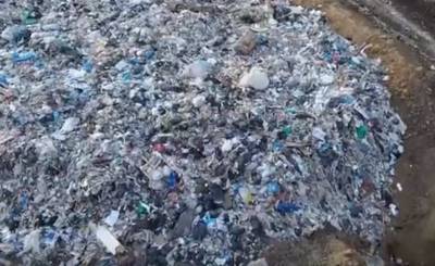 На свалке в Нижегородской области обнаружили скелетированные останки мужчины и женщины - 7info.ru - Нижегородская обл.