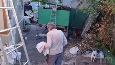 У скандальных владельцев алабаев, терроризировавших соседей и прохожих, нашли искусанного и избитого внука - lenta.ua - Украина - Киев - Черкассы