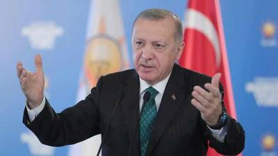 Эрдоган - Турция не намерена спрашивать у кого-либо, с кем, где и когда вести переговоры — Эрдоган - news-front.info - Россия - Турция - Анкара - Кабул