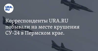 Корреспонденты URA.RU побывали на месте крушения СУ-24 в Пермском крае. Фото - ura.news - Пермский край