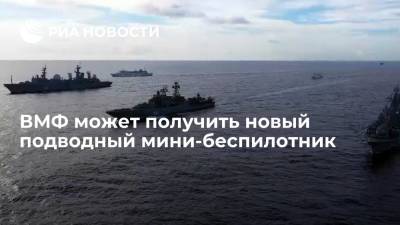 Разработчик: ВМФ может получить подводный мини-беспилотник для безопасности кораблей - ria.ru - Россия - Санкт-Петербург - Московская обл.