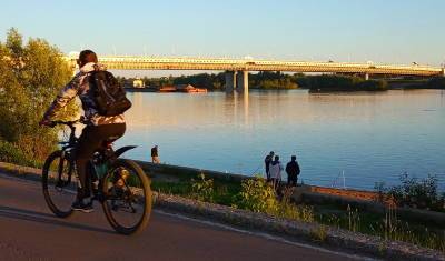 Тюменцы сожалеют об исчезновении деревьев на новой набережной Туры - nashgorod.ru - Тюмень