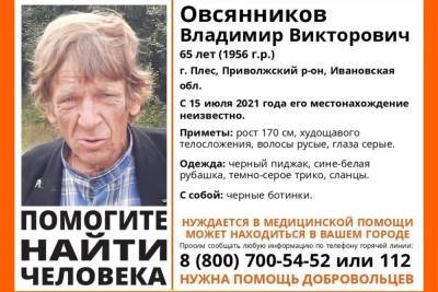 В Ивановской области больше десяти дней ищут 65-летнего мужчину - mkivanovo.ru - Ивановская обл.