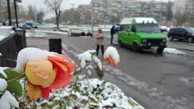 Леонид Горбань - Украинцев огорошили прогнозом погоды на осень 2021: «Выпадет снег и...» - politeka.net - Украина