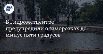 В Гидрометцентре предупредили о заморозках до минус пяти градусов - ura.news - Иркутская обл. - Челябинская обл. - Тюменская обл. - Вологодская обл. - Курганская обл. - Омская обл. - Архангельская обл.