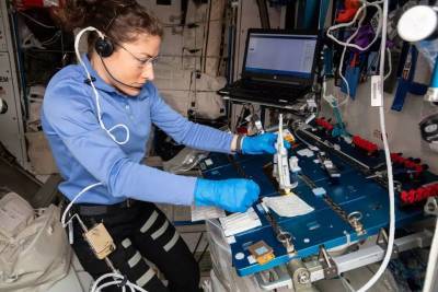 Астронавты успешно продемонстрировали восстановление ДНК в космосе - techno.bigmir.net