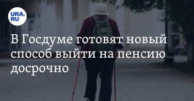 В Госдуме готовят новый способ выйти на пенсию досрочно - ura.news