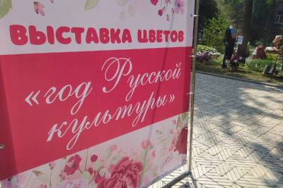 Денис Пушилин - В центре Донецка открылась выставка цветов - mk.ru - ДНР - Донецк