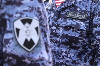 Сотрудники Росгвардии задержали в Йошкар-Оле подозреваемого в грабеже - mk.ru - респ. Марий Эл