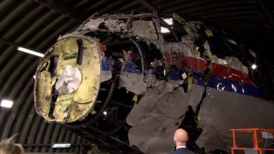 Юрий Антипов - Техэксперт Антипов доказал наличие взрыва на борту MH17 перед крушением - inforeactor.ru - Голландия