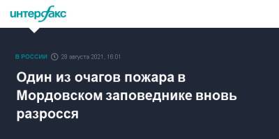 Один из очагов пожара в Мордовском заповеднике вновь разросся - interfax.ru - Москва - Россия - республика Мордовия