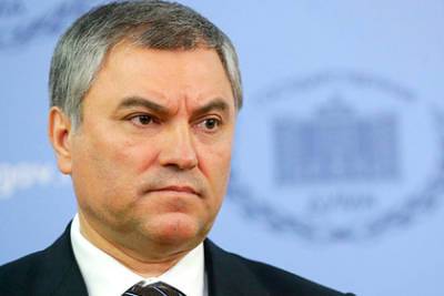 Вячеслав Володин - Наталья Поклонская - Дмитрий Кулебы - Володин ответил на угрозу главы МИД Украины «испортить жизнь» Поклонской - lenta.ru - Украина - Киев - Крым