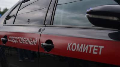 Александр Бастрыкин - Бастрыкин поручил ГСУ СК провести проверку после массовой драки в Москве - iz.ru - Москва - Россия - Израиль