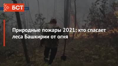 Природные пожары 2021: кто спасает леса Башкирии от огня - bash.news - Башкирия