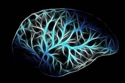 Интеллектуальные способности можно развивать в любом возрасте - actualnews.org - Япония