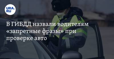 В ГИБДД назвали водителям «запретные фразы» при проверке авто - ura.news