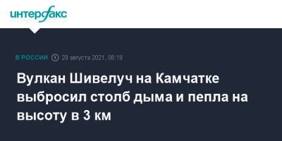 Вулкан Шивелуч на Камчатке выбросил столб дыма и пепла на высоту в 3 км - interfax.ru - Москва - Камчатский край
