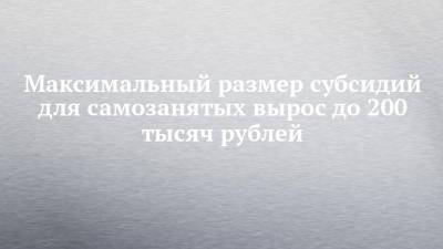 Максимальный размер субсидий для самозанятых вырос до 200 тысяч рублей - chelny-izvest.ru - Россия - респ. Татарстан