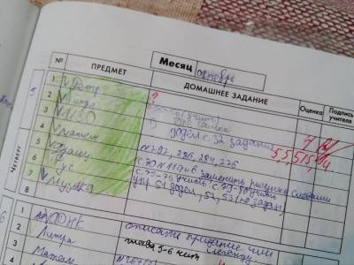 В Минпросвещения назвали три школьных предмета, которые будут оцениваться по системе «зачет-незачет» - ufacitynews.ru