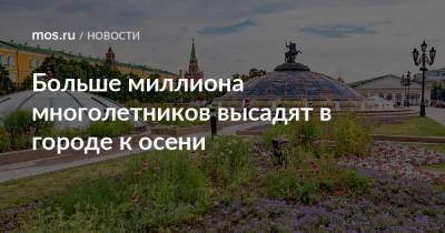 Больше миллиона многолетников высадят в городе к осени - mos.ru - Москва - Россия