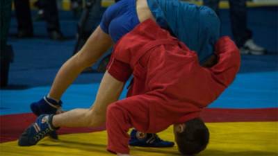 Владимир Путин - Михаил Галузин - Посол РФ наградил победителей чемпионата Японии по самбо на кубок Путина - iz.ru - Россия - Израиль - Япония