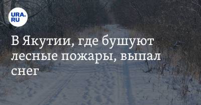 В Якутии, где бушуют лесные пожары, выпал снег. Видео - ura.news - респ. Саха