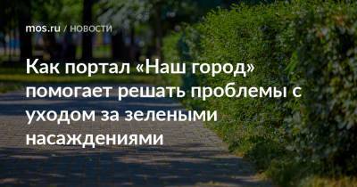 Как портал «Наш город» помогает решать проблемы с уходом за зелеными насаждениями - mos.ru - Москва - Благоустройство
