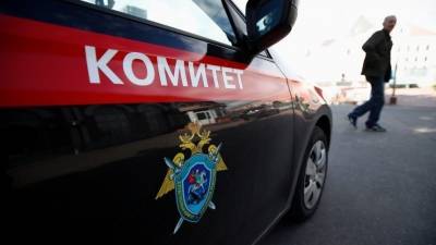 Александр Бастрыкин - Прокуратура начала проверку по факту убийства 15-летней девочки в Башкирии - 5-tv.ru - Башкирия