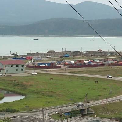 В Японии задержали россиянина, приплывшего на остров Хоккайдо с Кунашира - radiomayak.ru - Россия - Япония