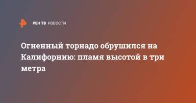 Огненный торнадо обрушился на Калифорнию: пламя высотой в три метра - ren.tv - США - шт. Калифорния