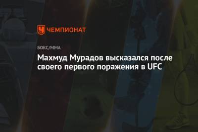 Махмуд Мурадов высказался после своего первого поражения в UFC - championat.com - Узбекистан - Грузия - Бразилия