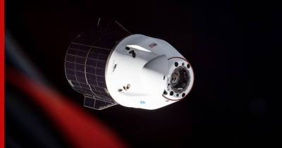 SpaceX отправила на МКС муравьев, авокадо и робота - profile.ru