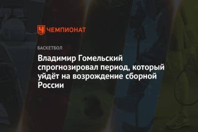 Андрей Кириленко - Владимир Гомельский - Владимир Гомельский спрогнозировал период, который уйдёт на возрождение сборной России - championat.com - Россия