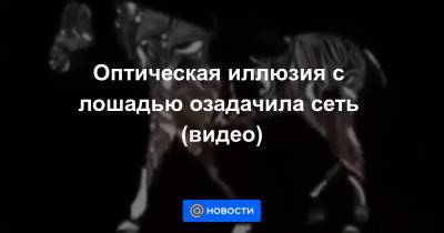 Оптическая иллюзия с лошадью озадачила сеть (видео) - news.mail.ru