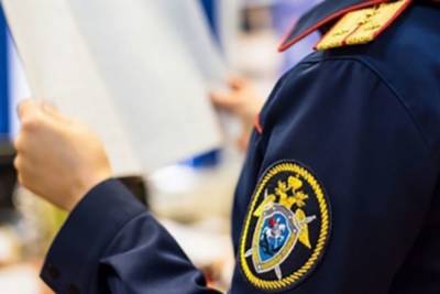 Двух жителей Ингушетии подозревают в терроризме в Сирии - kavkaz.mk.ru - Россия - Сирия - респ. Ингушетия
